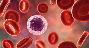 Blood Cancer: Types, Symptoms, and Treatments