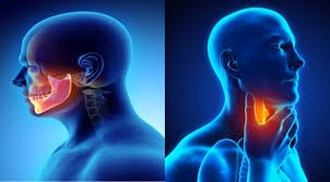 Head and Neck Cancer: Causes, Prevention, and Treatment